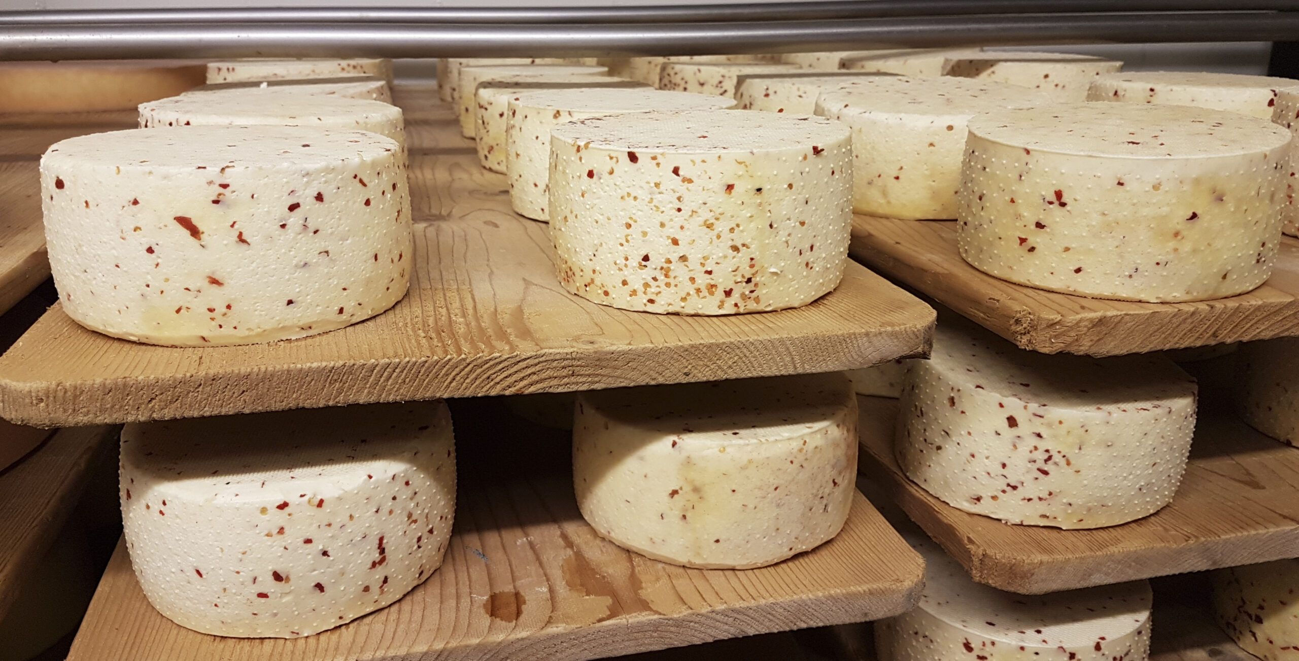 Der Trend geht Richtung Spezialitätenkäse