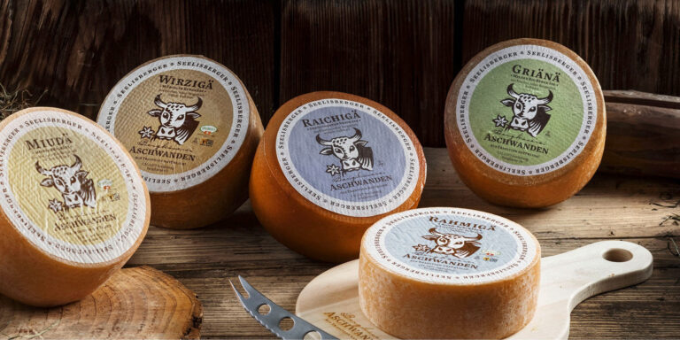 Mikrobielles Lab – Käse für Vegetarier